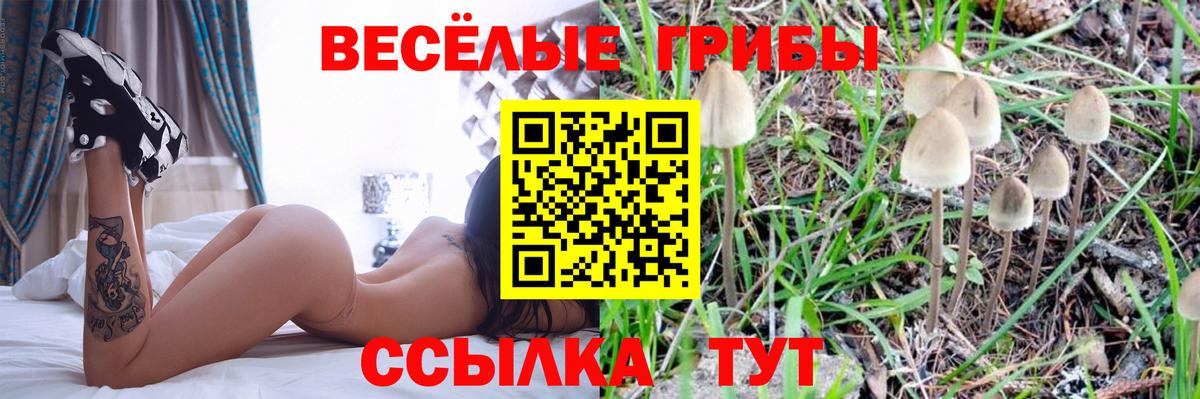 Галлюциногенные грибы прущие грибы  Вход с VPN  Петрозаводск  Галлюциногенные грибы мицелий 